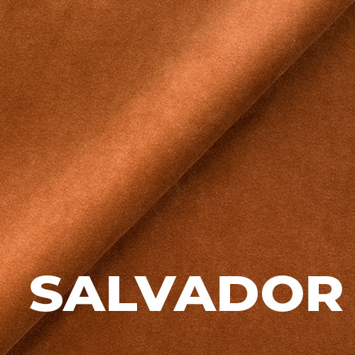 Salvador_ICO